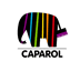 Caparol Pintures i morters